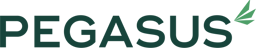 Pegasus Finance